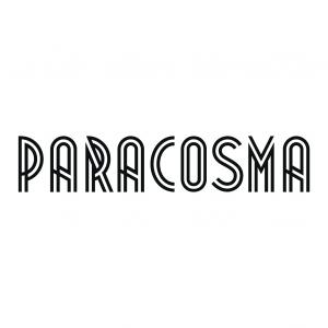 Paracosma Inc - AR/VR Company