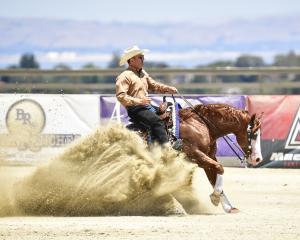 Andrea Fappani wins Reining by the Bay on All Bettss are Off:  Image by High Cotton Promotions as covered by ReinerStop Show Time