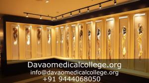 Davaomedicalcollege.org Vertical Dissection's of Human Body