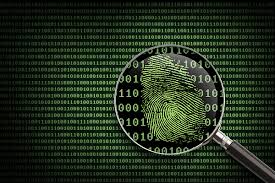 Digital Forensics Market