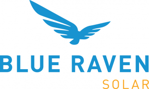 Blue raven logo