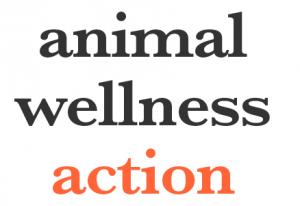 Animal Wellness Action Applauds Rep. David McKinley for Backing Big Cat Public Safety Act to Protect West Virginians 2