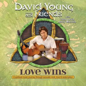 David Young and Friends - Love Wins Cover