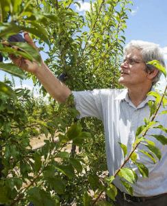 PURPLE super foods could hold the key to becoming healthier by Professor Lindsay Brown