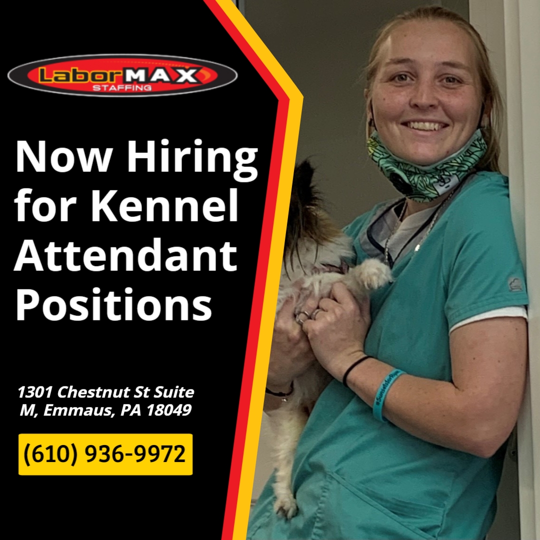 Allentown Construction Employment Company Provide Benefits of Hiring a